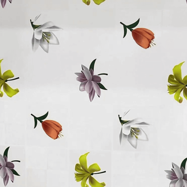 Igienix - Elimină toate tipurile de mucegai, protejând perfect suprafețele