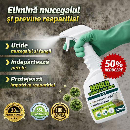 Igienix - Elimină toate tipurile de mucegai, protejând perfect suprafețele