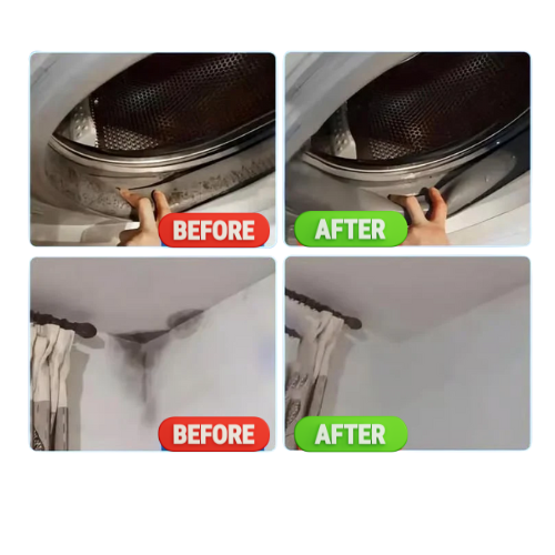 Igienix - Elimină toate tipurile de mucegai, protejând perfect suprafețele