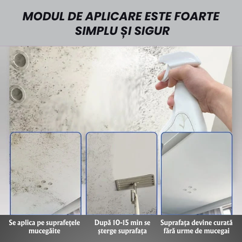 Igienix - Elimină toate tipurile de mucegai, protejând perfect suprafețele