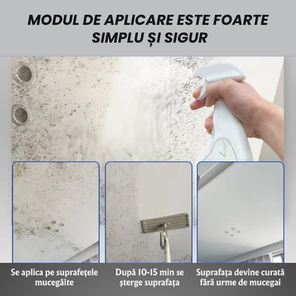 Igienix - Elimină toate tipurile de mucegai, protejând perfect suprafețele