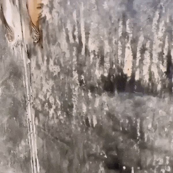 Igienix - Elimină toate tipurile de mucegai, protejând perfect suprafețele