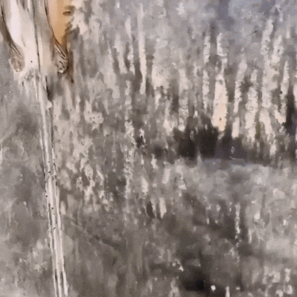 Igienix - Elimină toate tipurile de mucegai, protejând perfect suprafețele