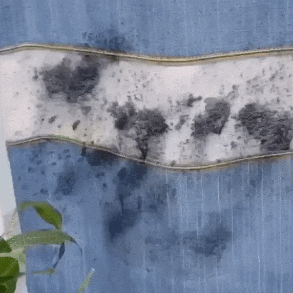 Igienix - Elimină toate tipurile de mucegai, protejând perfect suprafețele