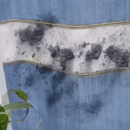 Igienix - Elimină toate tipurile de mucegai, protejând perfect suprafețele